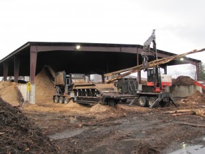 The 3680 Beast at Geneva Wood Fuels has the capability to process material 35 in. in diameter.